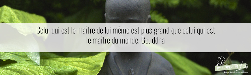 Bannière Cit Avril 4