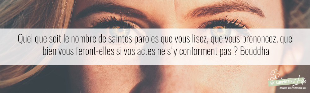 Bannière Cit Avril 5