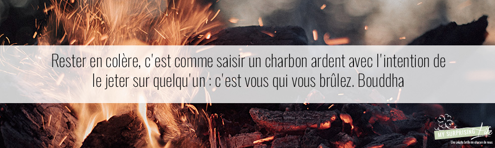 Bannière Cit Avril3